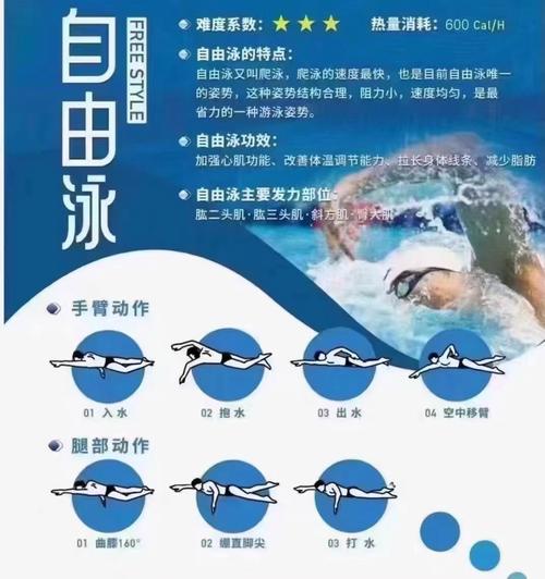 游泳算是有氧还是无氧_游泳有氧无氧看强度,减肥增肌都适合 游泳算是有氧还是无氧_游泳有氧无氧看强度,减肥增肌都适合