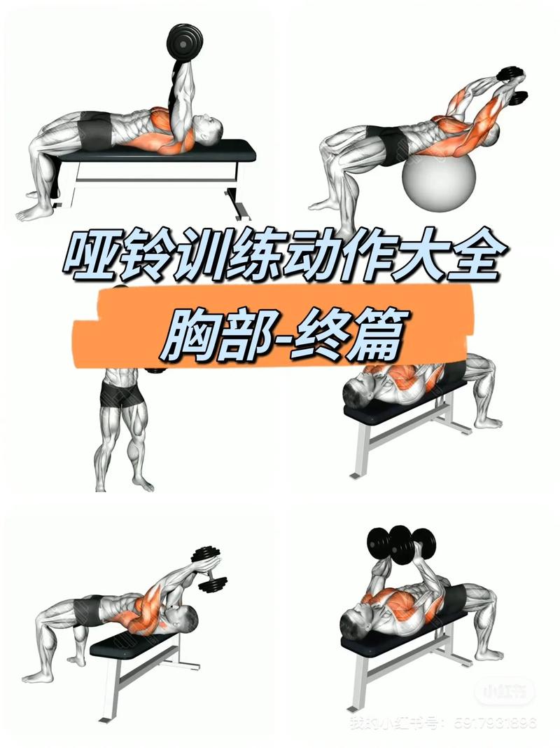 1kg哑铃女士的正确锻炼方法_高次数练出紧致线条