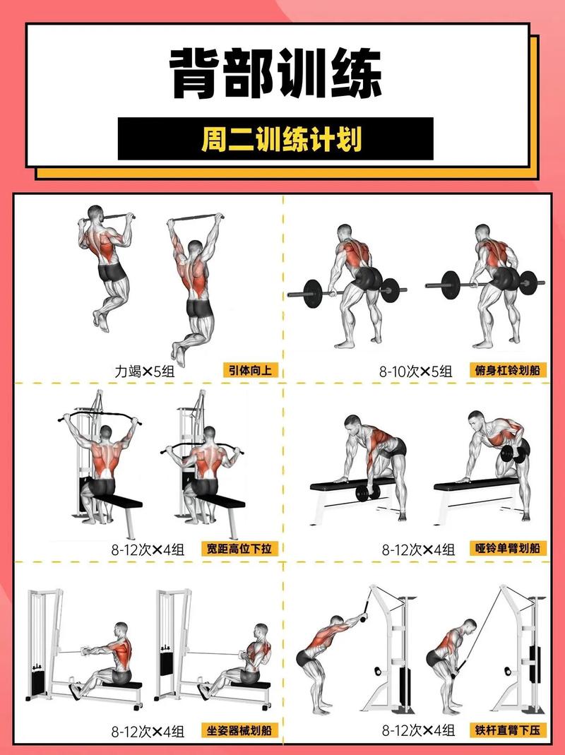 18个背部训练动作图片_椅子瑜伽垫搞定,缓解颈肩不适 18个背部训练动作图片_椅子瑜伽垫搞定,缓解颈肩不适