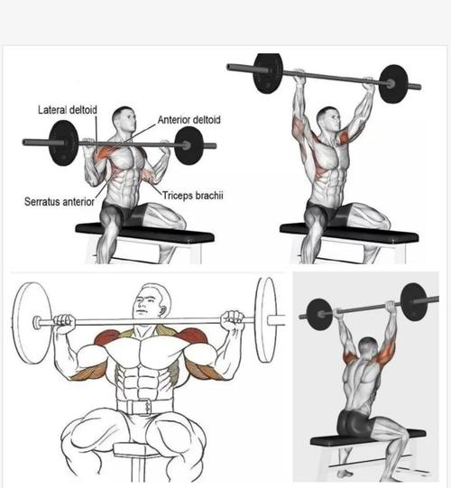 杠铃经典10个动作图片_练腿强身,姿势要对 杠铃经典10个动作图片_练腿强身,姿势要对