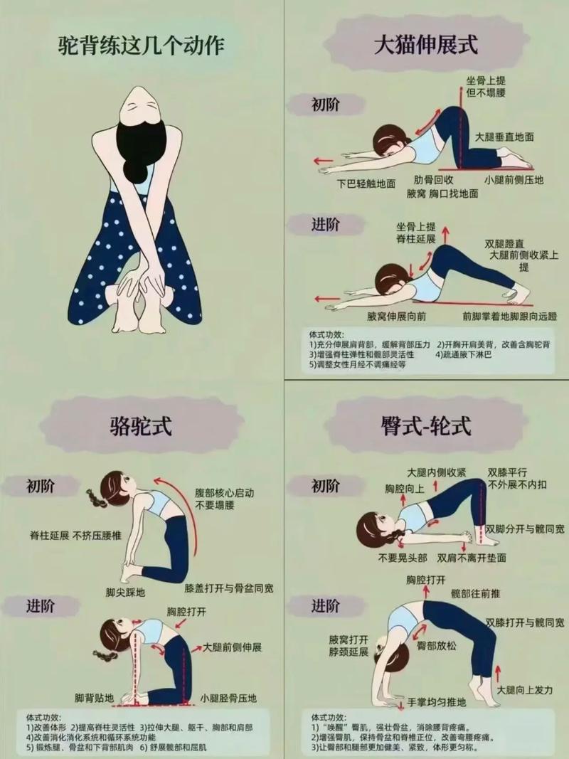 改善驼背每天必练8个动作_练背改善驼背，挺拔身姿