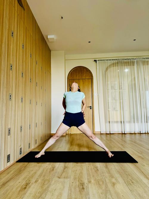 艾扬格瑜伽适合哪些人_精准体式，适合所有人群