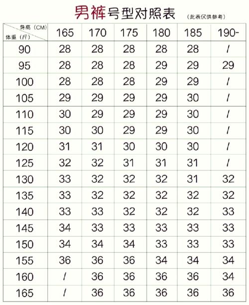 美腿腿围标准对照表_比例形态最重要