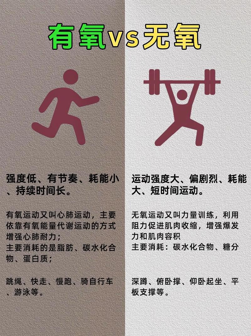 什么是有氧运动通俗_有氧运动塑形燃脂,健康生活好选择 什么是有氧运动通俗_有氧运动塑形燃脂,健康生活好选择
