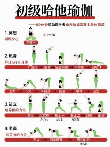 简述瑜伽练习的基本原则_放松运动呼吸饮食积极思考