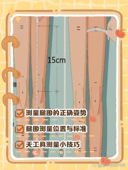 美腿腿围标准对照表_比例形态最重要