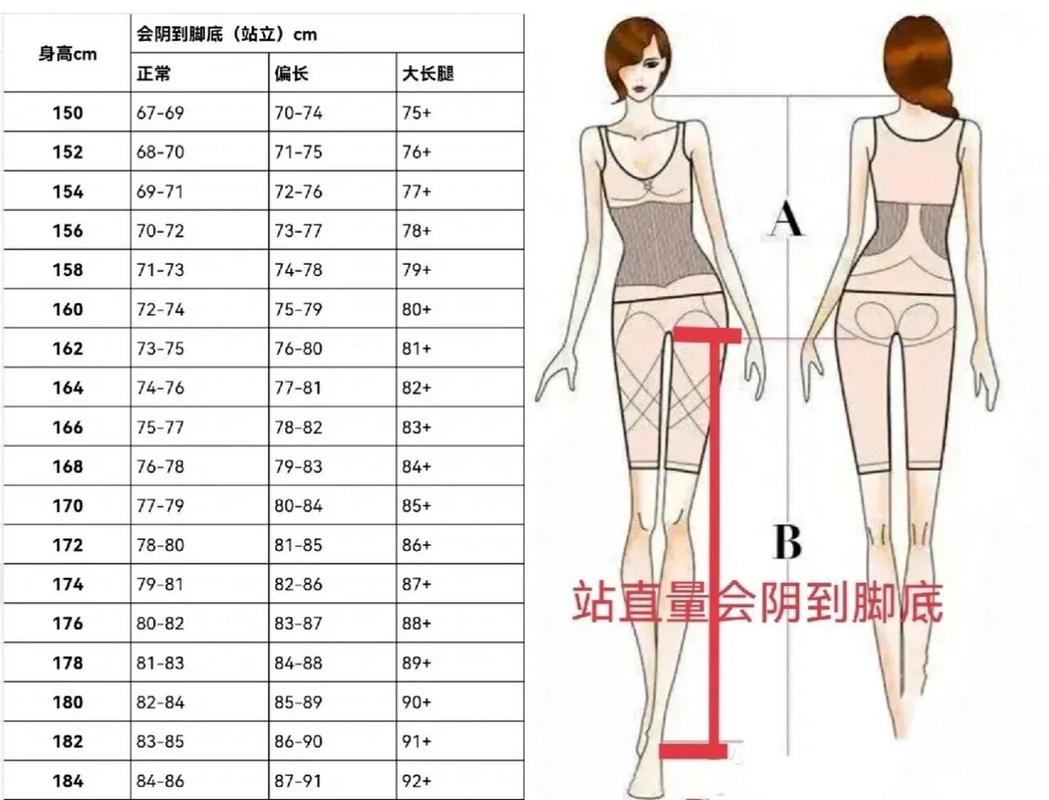 身高大腿围对照表_身高0.3倍算大腿围,美腿看和谐比例 身高大腿围对照表_身高0.3倍算大腿围,美腿看和谐比例
