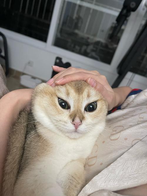 把头发扎紧会能让脸部变紧吗_扎头发能暂时提拉脸?效果短暂要健康 把头发扎紧会能让脸部变紧吗_扎头发能暂时提拉脸?效果短暂要健康