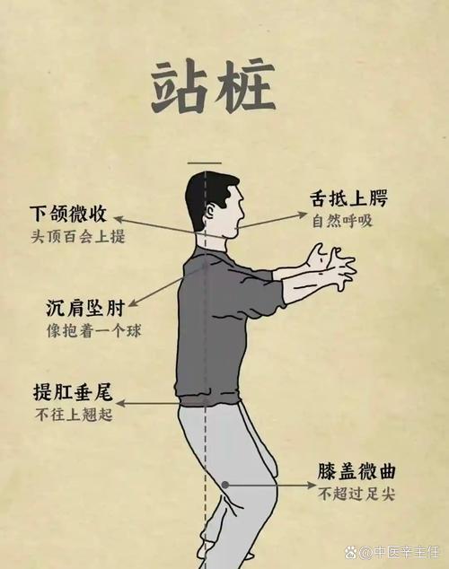 站桩的正确姿势和注意事项_静中求动，身心锻炼好方法