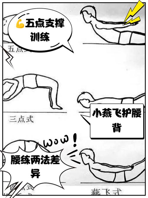 小燕飞练哪里的肌肉_小燕飞练背颈核心，缓解腰痛需规范