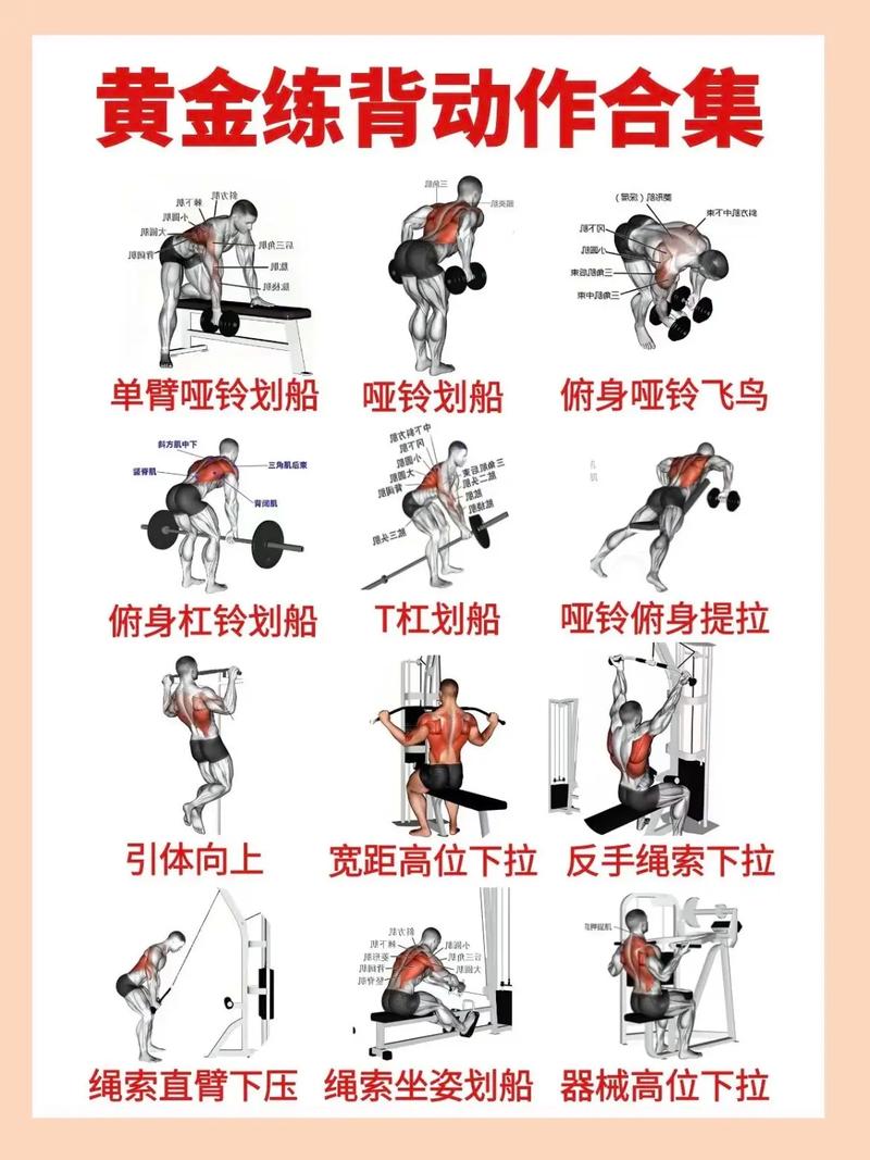 练下背部的动作_无器械强健下背，缓解腰痛提升瑜伽