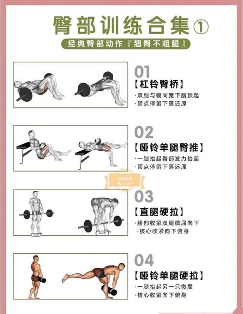 增加臀部肌肉力量训练_深蹲臀桥硬拉侧抬箭步