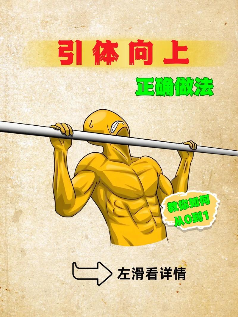 高位引体向上怎么练_高位引体向上练背,动作要领与进阶技巧 高位引体向上怎么练_高位引体向上练背,动作要领与进阶技巧