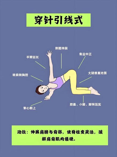 新手居家背部训练计划_弹力带练背,改善体态挺拔身 新手居家背部训练计划_弹力带练背,改善体态挺拔身