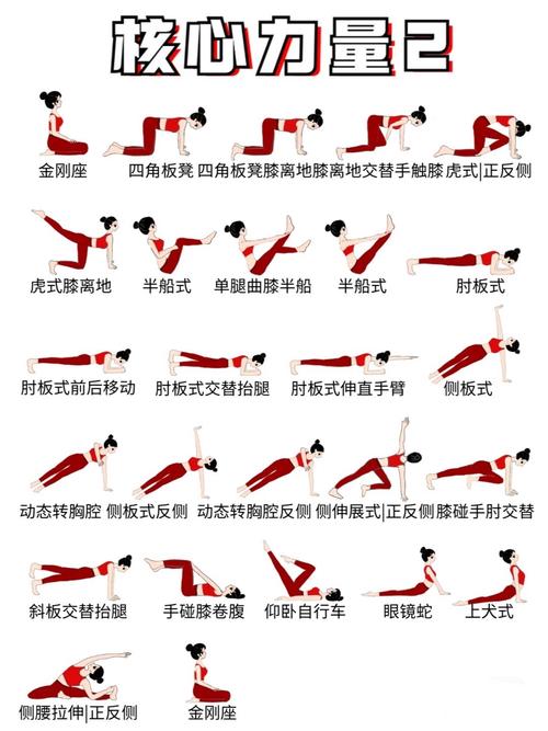 25个健美操基本动作_无低高冲击,适合不同训练需求 25个健美操基本动作_无低高冲击,适合不同训练需求