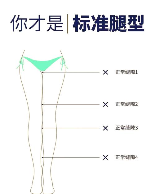 女模特大腿小腿比例_腿长比例表，美不完美看气质