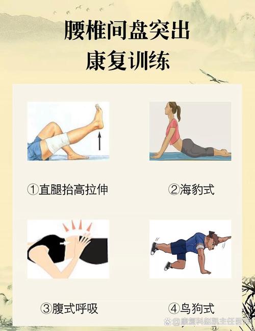 腰椎间盘突出训练_核心强化+低冲击运动