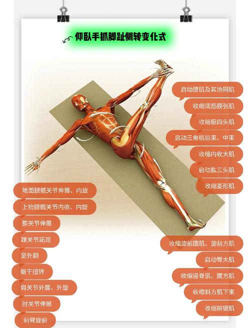 变式训练的方法有哪些_多样化提升技能与思维