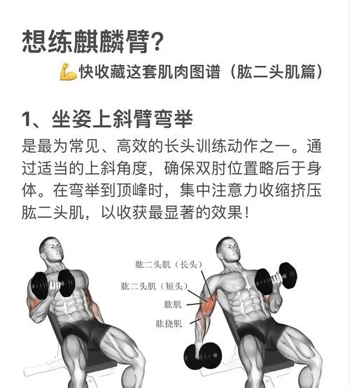 增加臂力的锻炼方法_重量渐进,规范动作增肌 增加臂力的锻炼方法_重量渐进,规范动作增肌