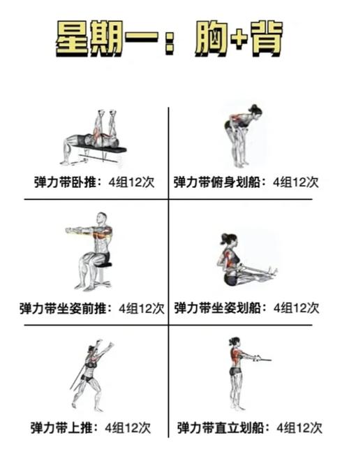 阻力带的26个训练方法_便携阻力带，居家户外健身好帮手！