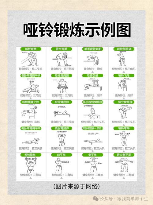5kg哑铃能练肌肉吗_5kg哑铃新手增肌好帮手 5kg哑铃能练肌肉吗_5kg哑铃新手增肌好帮手