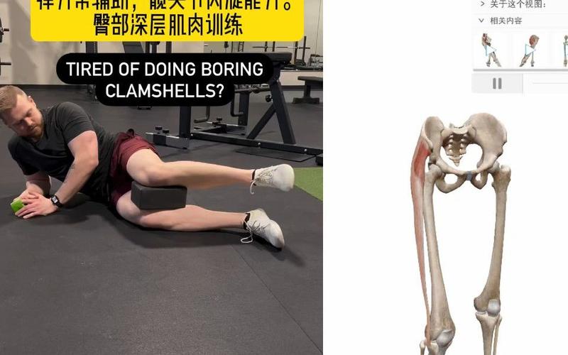 髋内旋练大腿内侧还是外侧_强化内收肌,改善平衡态 髋内旋练大腿内侧还是外侧_强化内收肌,改善平衡态