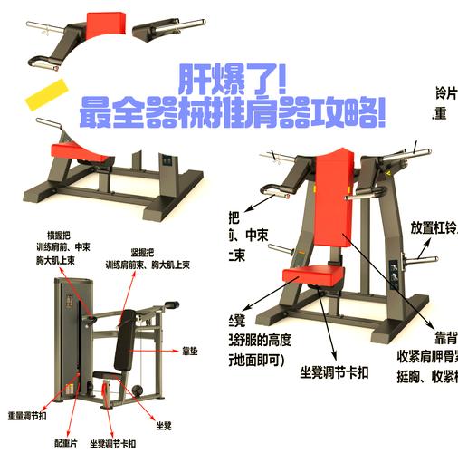 新手练肩固定器械_健身练肩器械多，全面塑形选对好！