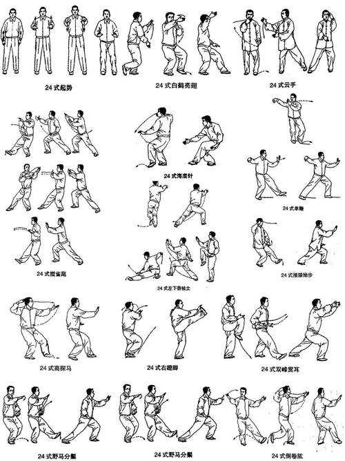 武术基本功与基本动作_6个简易武术入门练法,强身健体! 武术基本功与基本动作_6个简易武术入门练法,强身健体!