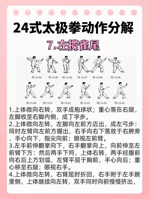 武术的12个基本动作_攻防兼备，基础入门