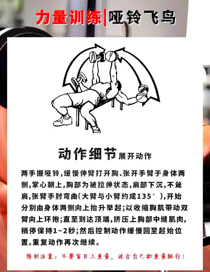 飞鸟健身动作_拉力器飞鸟练胸肌,多种变式效果佳 飞鸟健身动作_拉力器飞鸟练胸肌,多种变式效果佳