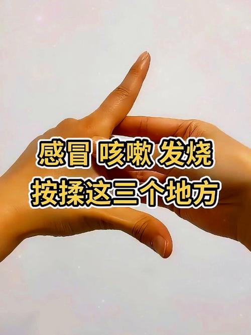 感冒能不能锻炼_感冒了能锻炼?因人而异,初期不宜,恢复期可适度 感冒能不能锻炼_感冒了能锻炼?因人而异,初期不宜,恢复期可适度