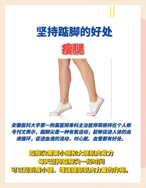 踮脚尖是为了锻炼神经根吗_简单护腿又塑形