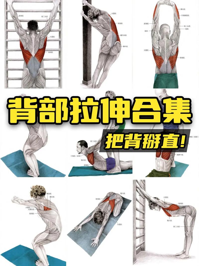竖脊肌训练10套最佳动作_强化竖脊肌,改善腰痛体态 竖脊肌训练10套最佳动作_强化竖脊肌,改善腰痛体态