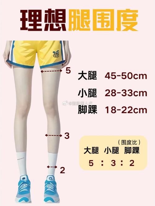 三围标准对照表女大腿小腿围_身高与三围关系大?别只看数字,健康自信最美! 三围标准对照表女大腿小腿围_身高与三围关系大?别只看数字,健康自信最美!