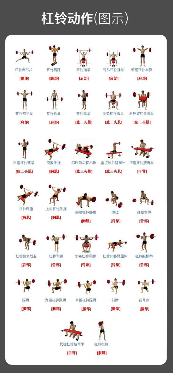 一组哑铃动作练全身_多部位训练动作详解 一组哑铃动作练全身_多部位训练动作详解