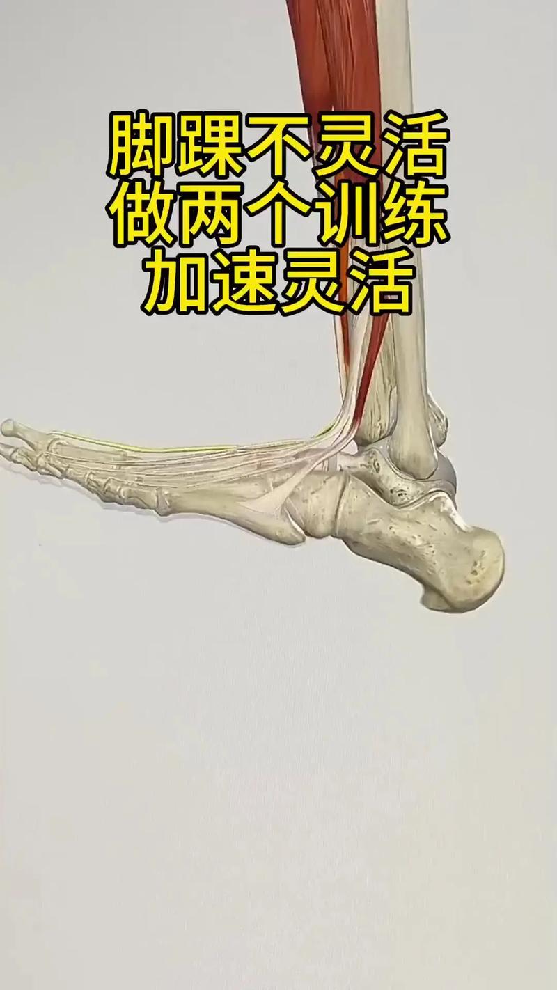 踝关节训练方法_逐步训练强功能