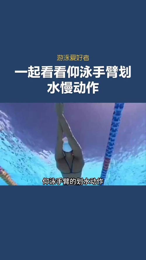 仰泳臂技术分为几个动作环节_动作要领与技巧 仰泳臂技术分为几个动作环节_动作要领与技巧