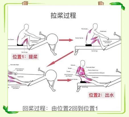 双桨划船机正确姿势_划船机正确姿势与发力，安全高效运动指南