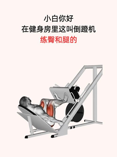 扛在肩上练臀腿的健身器械叫什么_杠铃练臀腿,增肌提力好帮手 扛在肩上练臀腿的健身器械叫什么_杠铃练臀腿,增肌提力好帮手