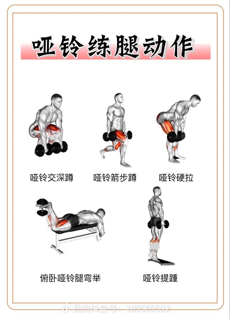 五公斤哑铃锻炼有效果吗_5kg哑铃练肌肉，新手女性增肌好帮手！