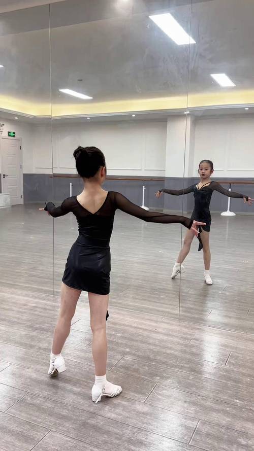 拉丁舞每天必练100个动作_每日100动作,塑形与自我发现! 拉丁舞每天必练100个动作_每日100动作,塑形与自我发现!