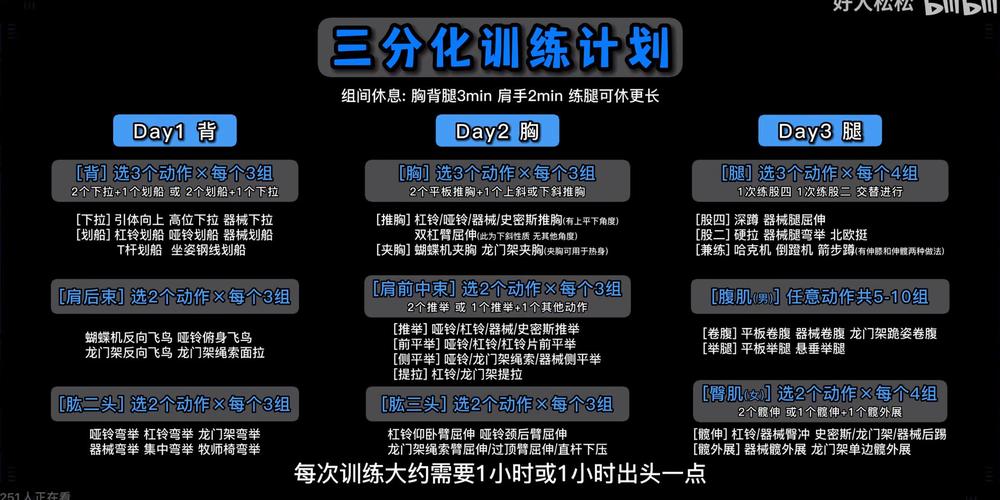 分化训练模式的具体运用方法包_分化训练增肌快，三或四天练全身