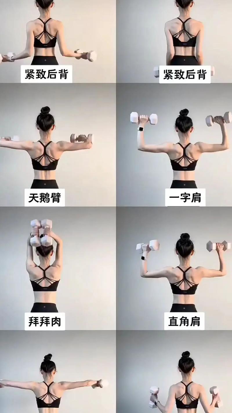 能同时练胳膊和背的动作_背臂协同无氧训练,增肌强力防受伤 能同时练胳膊和背的动作_背臂协同无氧训练,增肌强力防受伤