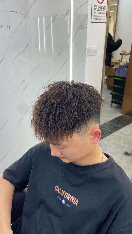 男烫发发型+无刘海+锡纸烫_自然卷发,低调时尚 男烫发发型+无刘海+锡纸烫_自然卷发,低调时尚