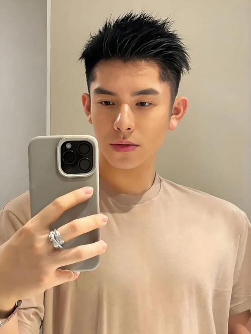 硬头发男生留什么发型_痞帅寸头前刺