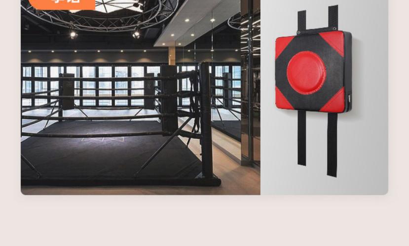 拳击训练器材_在家高效练拳必备 拳击训练器材_在家高效练拳必备