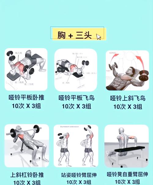 三点式锻炼,强腰背,缓解酸痛 三点式锻炼,强腰背,缓解酸痛