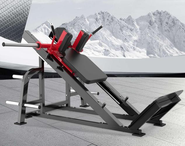 抗在肩上的深蹲器械叫什么_哈克深蹲机锻炼大腿好处多