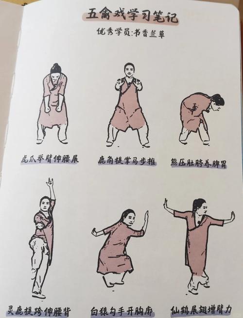 五禽戏每个动作几遍和练的部位_虎鹿熊猿鸟,强身健体好选择 五禽戏每个动作几遍和练的部位_虎鹿熊猿鸟,强身健体好选择