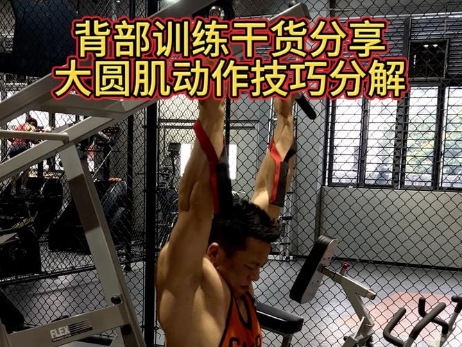大圆肌锻炼方法_拉伸训练营养姿势全攻略